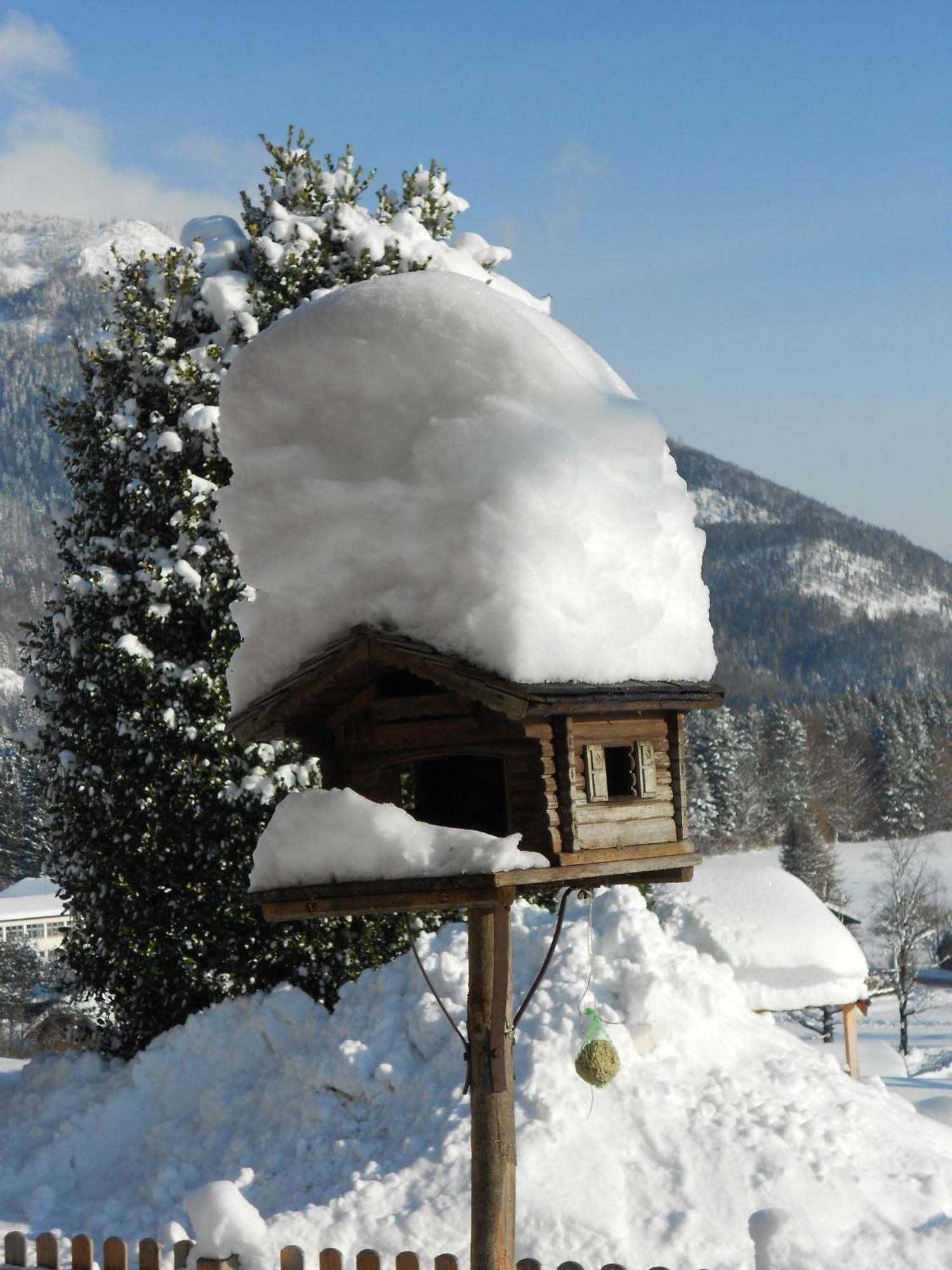 Villa Paulbauer Saint Wolfgang Esterno foto