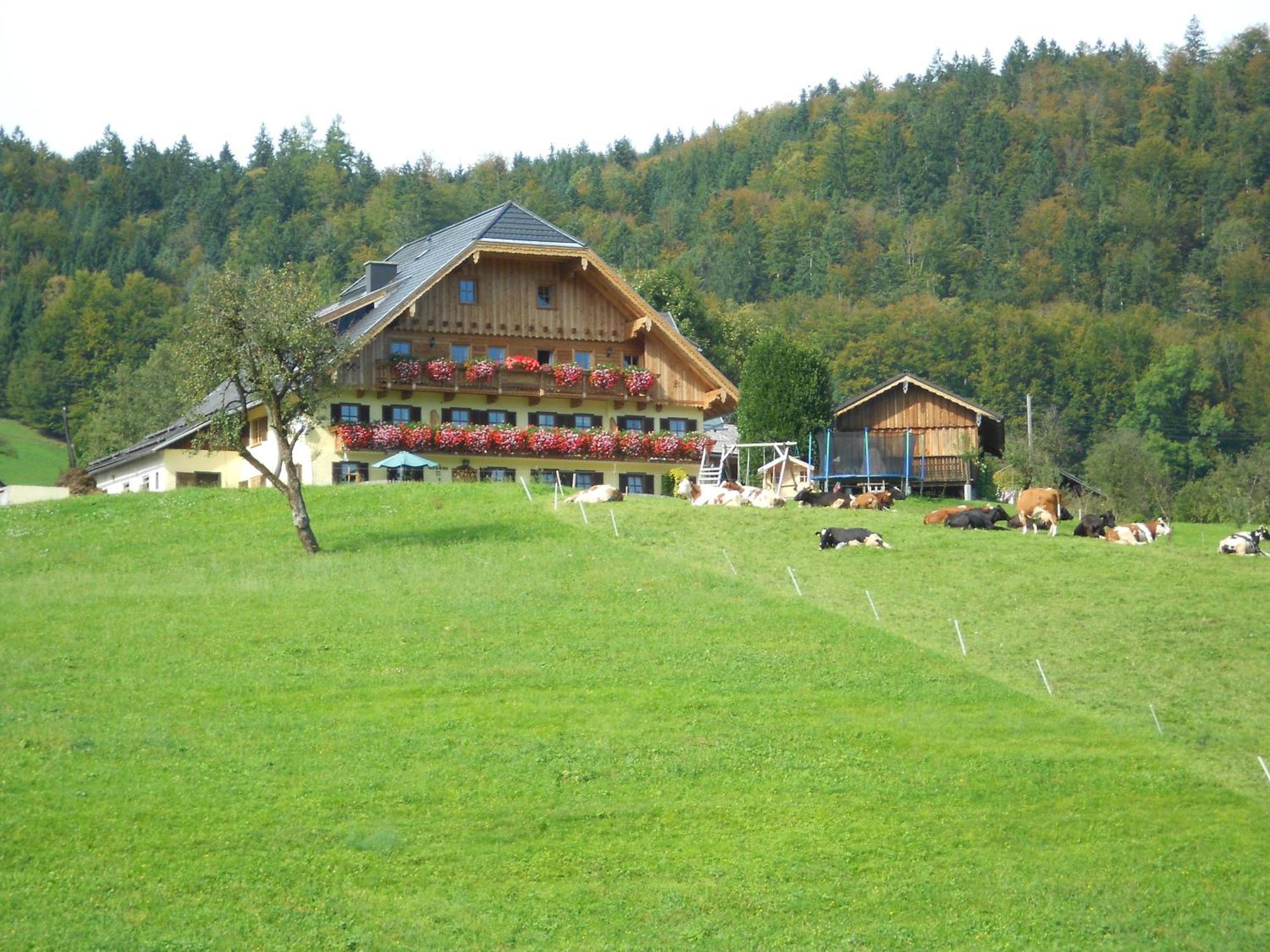 Villa Paulbauer Saint Wolfgang Esterno foto