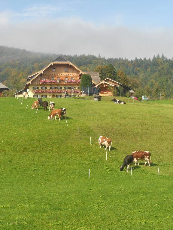 Villa Paulbauer Saint Wolfgang Esterno foto